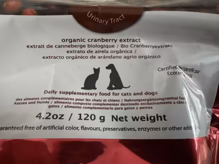 Photo of free for dogs/cats (Bloor/Brunswick area) #2