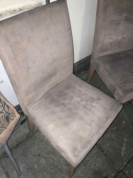 Photo of free Dining chairs (Battersea SW11) #3