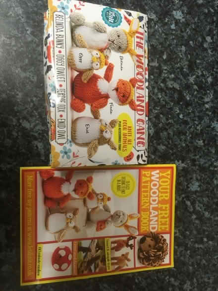 Photo of free Knitting kit (Boxted CO4) #1