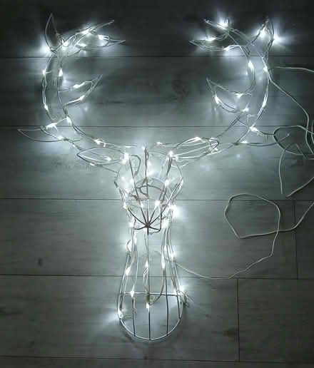 Photo of free Reindeer Xmas light wall hanging (Tamworth, Staffordshire.) #1