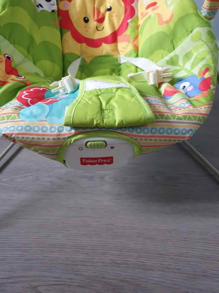 Photo of free Fisher Price baby bouncer (TN38) #2