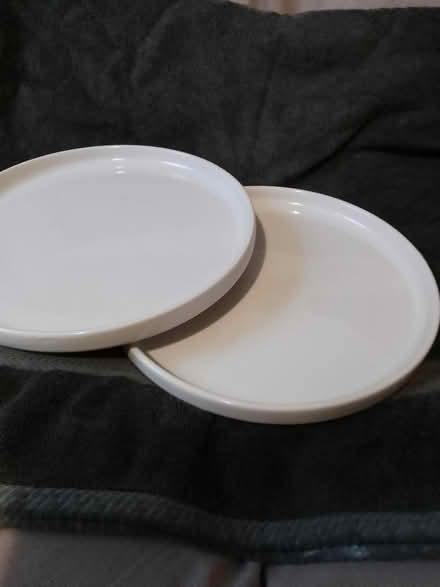 Photo of free White earthenware dinner plates (Newcastle Staffs) #1