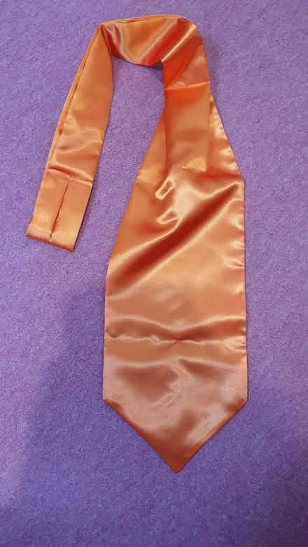 Photo of free Orange cravat (Stanmore SO22) #1