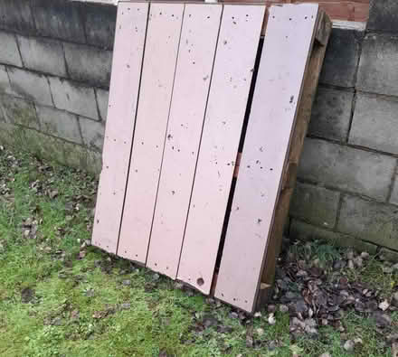 Photo of free Pallet x1 (Chorley Central PR7) #2