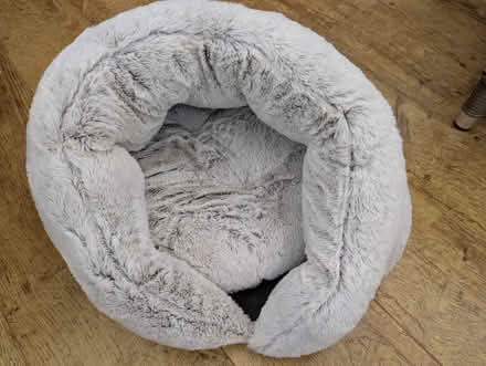 Photo of free Cat bed (Sutton Pools OX14) #1
