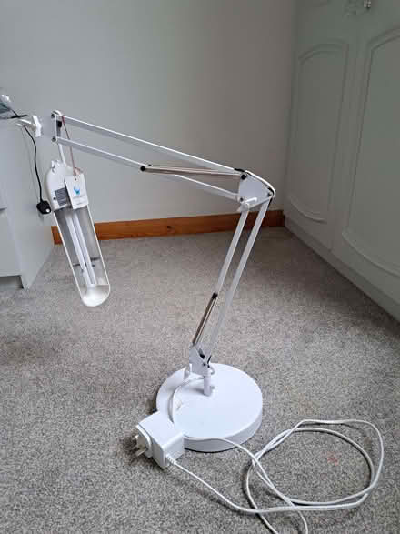 Photo of free Daylight Anglepoise Lamp (Darley Hillside DE4) #2