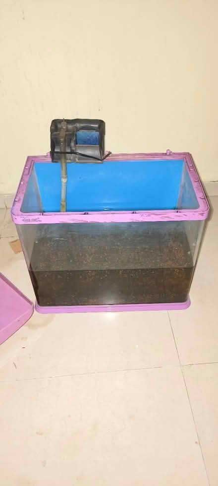 Photo of free Aquarium with over head filter (IC Colony, Borivali West) #3