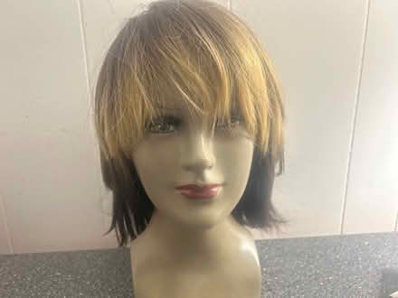 Photo of free Two tone wig with head (Marley) #1