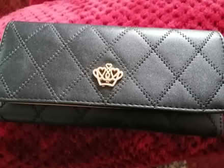 Photo of free Purse (Little Chester DE1) #1