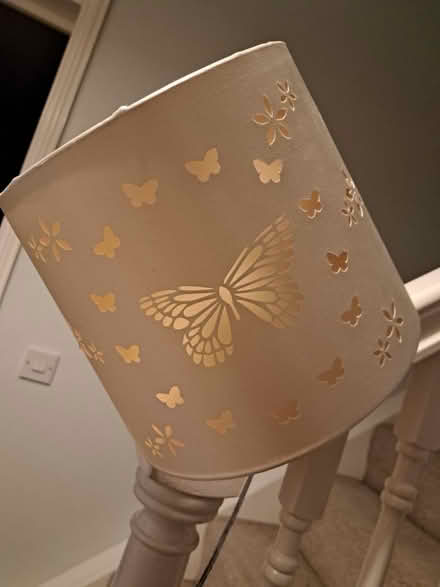 Photo of free Butterfly Lampshade (Stroud) #1