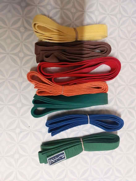 Photo of free Martial Arts Belts (Begbroke OX5) #1