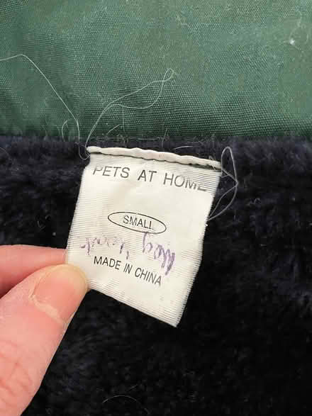 Photo of free Dogs coat size S (North chichester) #3