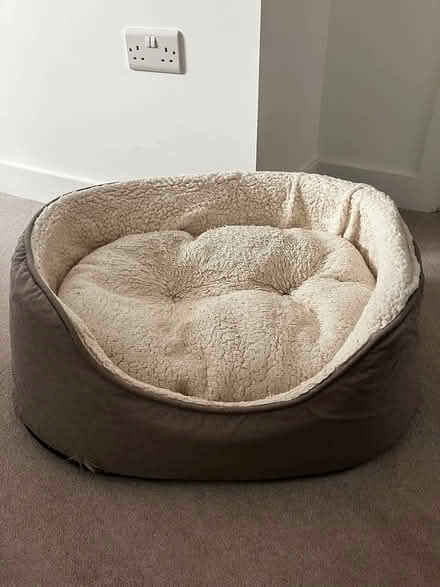 Photo of free Dogs bed (North chichester) #1