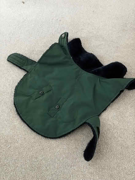 Photo of free Dogs coat size S (North chichester) #2