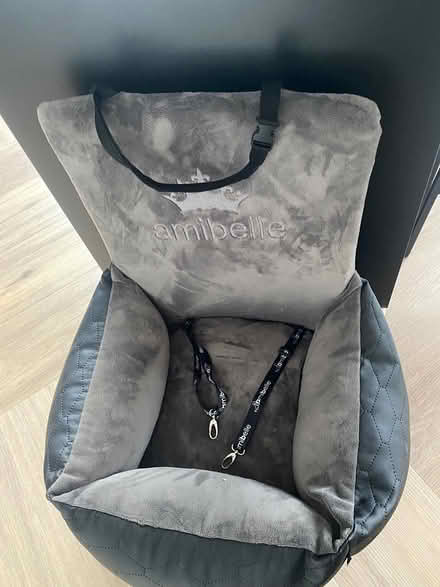 Photo of free Car seat for small dogs (Zwaanshoek) #2