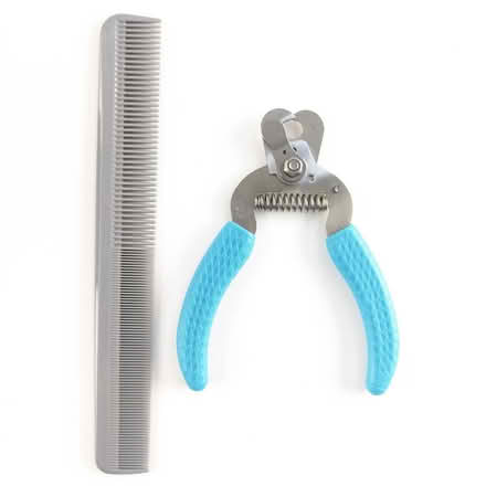 Photo of free Dog Nail clipper & extra hard comb (Victory Heights, North Seattle) #2