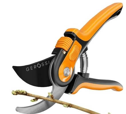 Photo of Pruning Shears (Oakland) #1