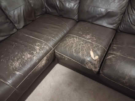 Photo of free Leather corner sofa (Horton Heath SO50) #3