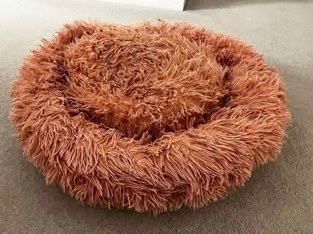 Photo of free Two 55cm doughnut dogs beds (North chichester) #2