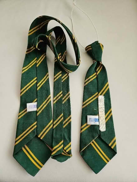 Photo of free Two Little Common Primary School Ties. (Bexhill TN39) #2