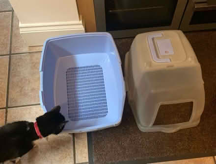 Photo of free Cat litter tray (Layton FY3) #2