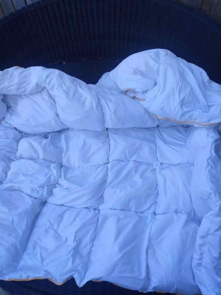 Photo of free Goose feather duvet (Lenham ME17) #2