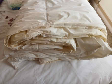 Photo of free Used feather single duvet (LU1. Caddington) #2