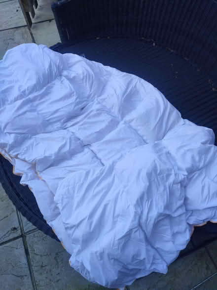 Photo of free Goose feather duvet (Lenham ME17) #4