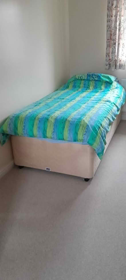 Photo of free Single bed (RH15 nr Woolpack) #1