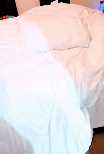 Photo of free Single duvet 13.5 tog x 2 /pillows (Bishops Caundle, Sherborne DT9) #1