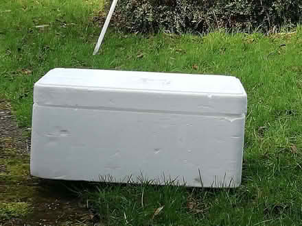 Photo of free Very large insulated box with lid (Brookvale RG21) #1