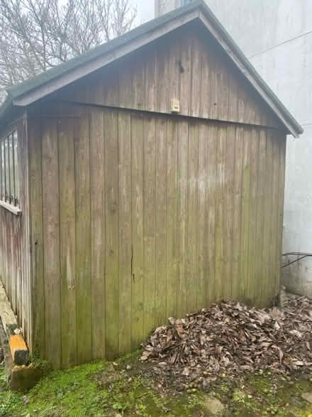 Photo of free 12 x 10 shed (Hinton Martell, Wimborne) #2