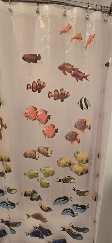 Photo of free Fish vinyl shower curtain (Bradley Beach NJ) #2