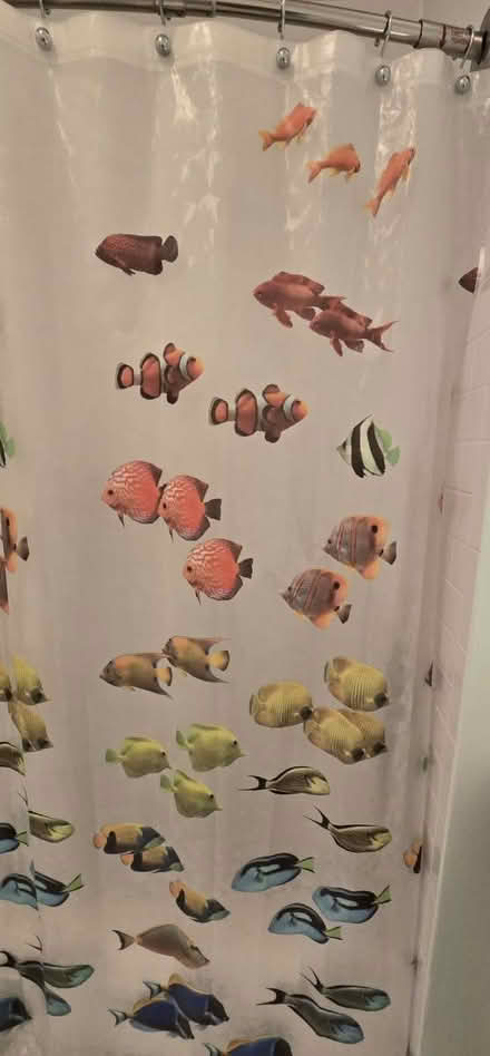 Photo of free Fish vinyl shower curtain (Bradley Beach NJ) #2