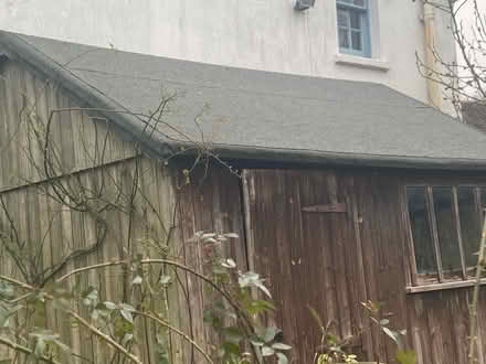 Photo of free 12 x 10 shed (Hinton Martell, Wimborne) #3