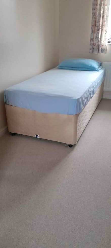 Photo of free Single bed (RH15 nr Woolpack) #2