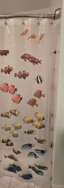 Photo of free Fish vinyl shower curtain (Bradley Beach NJ) #1