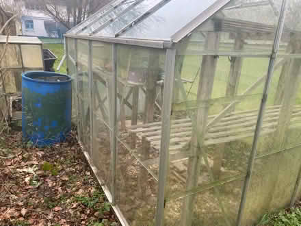 Photo of free Greenhouse 8 x 6 (Hinton Martell, Wimborne) #2