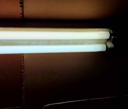 Photo of free One fluorescent Light fixture (Livermore) #2