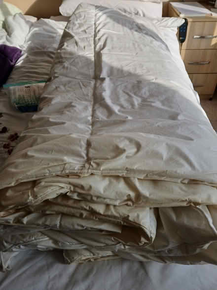 Photo of free Used feather single duvet (LU1. Caddington) #1