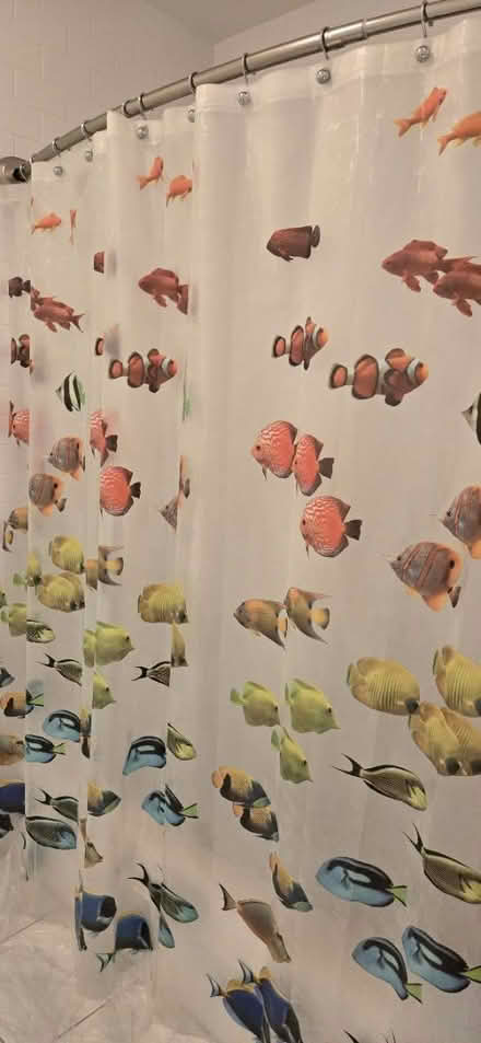 Photo of free Fish vinyl shower curtain (Bradley Beach NJ) #3