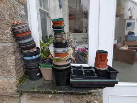 Photo of free Plant pots and Plastic Compost Bin (Penzance TR18) #3