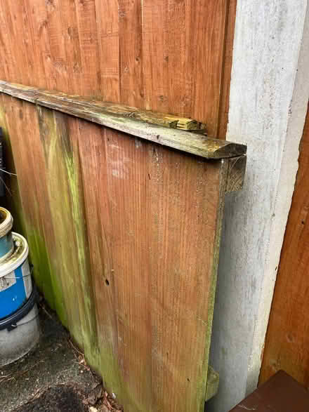 Photo of free 3ftx6ft wood fence panel (Croxteth L12) #1