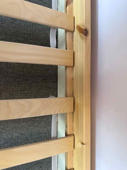 Photo of free Single bed (Freehold LA1) #4