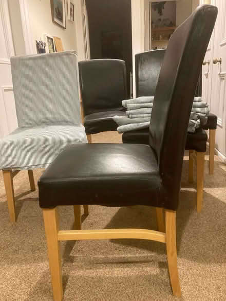 Photo of free Six padded dining chairs and covers (North Kelvinside G20) #3