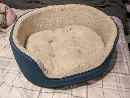 Photo of free Medium sized dog bed (Hoo St Werburgh ME3) #1