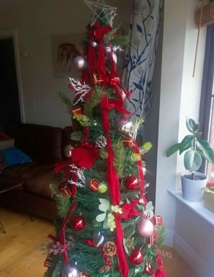 Photo of free Christmas Decor (Midleton & Douglas) #1