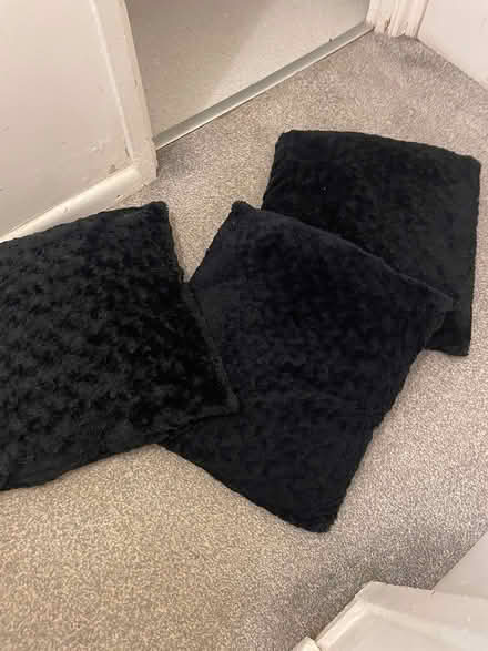 Photo of free 3black pillows (Bracknell’s RG42) #1