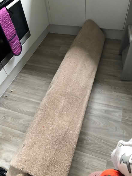 Photo of free Carpet off cuts (West Meads PO21) #1