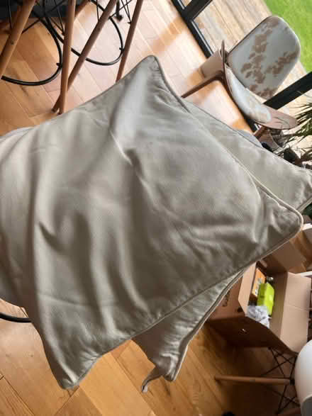 Photo of free White cushions x 2 (Br2 Shortlands) #1